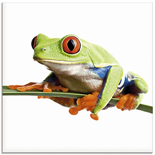 ARTland Glasbilder Wandbild Glas Bild einteilig 30x30 cm Quadratisch Natur Tiere Frosch Laubfrosch Blätter T0OE von ARTLAND