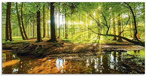 Glasbilder Wandbild Glas Bild einteilig 60x30 cm Querformat Wald Natur Landschaft Bäume Bach Sonne Frühling T9IO ARTland von ARTLAND