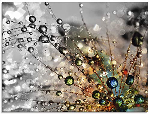 ARTland Wanddeko Glasbilder Wandbild Glas Bild einteilig 60x45 cm Querformat Natur Botanik Blumen Pusteblume Frühling Wassertropfen Modern T9IN von ARTLAND