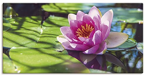 ARTland Leinwandbilder Wandbild Bild auf Leinwand 100x50 cm Wanddeko Zen Garten Pflanzen Blumen Blüte Seerose Teich See Natur U2AE von ARTLAND