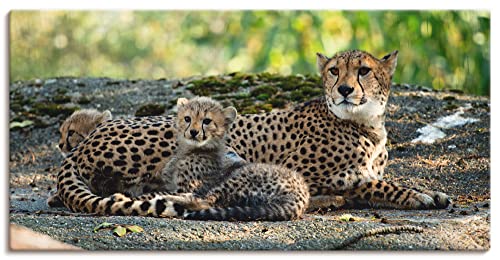 ARTland Leinwandbilder Wandbild Bild auf Leinwand 150 x 75 cm Wanddeko Afrika Natur Portrait Tiere Wildnis Katze Gepard Baby S9HY von ARTLAND