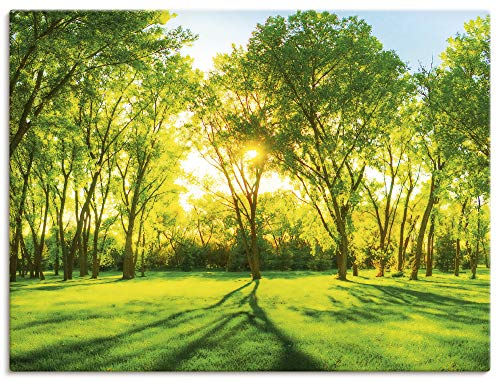 ARTland Leinwandbilder Wandbild Bild auf Leinwand 60x45 cm Natur Wald Sonne Landschaft Frühling Wiese Bäume Grün T2OP von ARTLAND