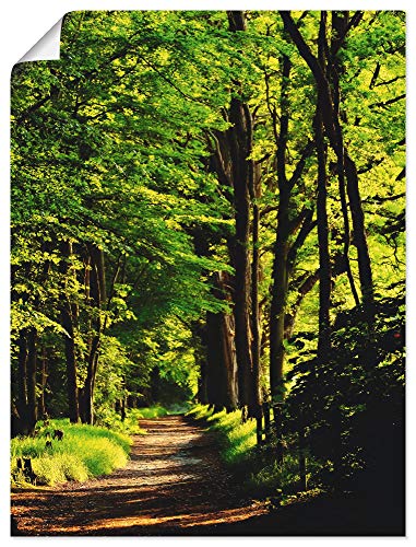 ARTland Poster Bild ohne Rahmen Wandposter 45x60 cm Wald Landschaft Natur Frühling Sonne Bäume Landhaus T1UC von ARTLAND