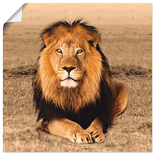 ARTland Poster Kunstdruck Wandposter Bild ohne Rahmen 50x50 cm Löwe Tiere Afrika Safari Savanne Steppe Natur Löwenmähne T5RJ von ARTLAND