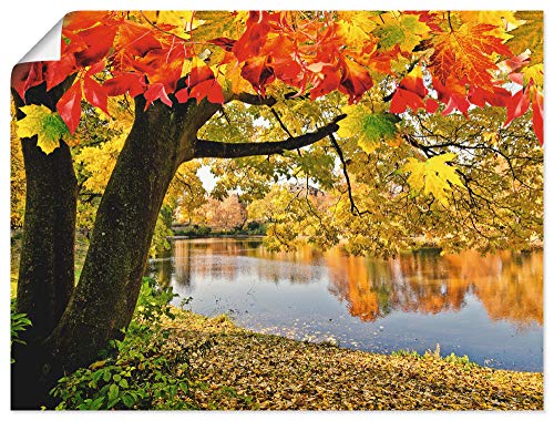 ARTland Poster Kunstdruck Wandposter Bild ohne Rahmen 80x60 cm Natur Landschaft Wald See Herbst Baum Blätter Landhausstil T4SF von ARTLAND