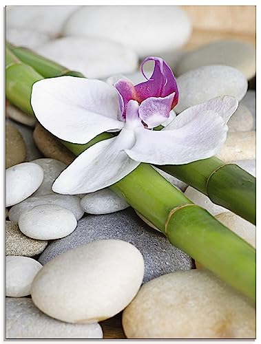 ARTland Glasbilder Wandbild Glas Bild einteilig 60 x 80 cm Wellness Zen Stille Steine Pflanze Bambus Blume Orchidee T3BE von ARTLAND