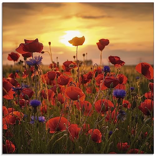 ARTland Wanddeko Glasbilder Wandbild Glas Bild einteilig 40 x 40 cm Botanik Blumen Mohnblume Foto Rot Mohnblumen im Abendlicht S9RX ARTland Wanddeko Glasbilder Wandbild Glas Bild einteilig 40 x 40 cm Botanik Blumen Mohnblume Foto Rot Mohnblumen im Abendlicht S9RX von ARTLAND