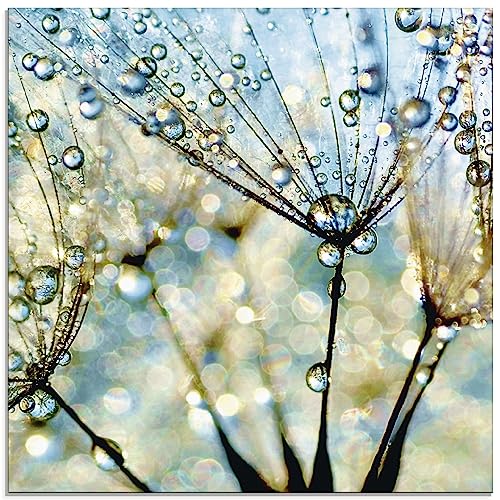 ARTland Glasbilder Wandbild Glas Bild einteilig 40 x 40 cm Quadratisch Wellness innere Ruhe Pflanzen Blumen Pusteblume Regen Tau Wasser Diamanten S9MF von ARTLAND