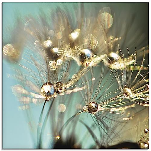 ARTland Glasbilder Wandbild Glas Bild einteilig 40 x 40 cm Quadratisch Innere Ruhe Wellness Natur Pflanzen Blumen Pusteblume Regen Tau Tropfen Gold Sonnenaufgang S9LP von ARTLAND