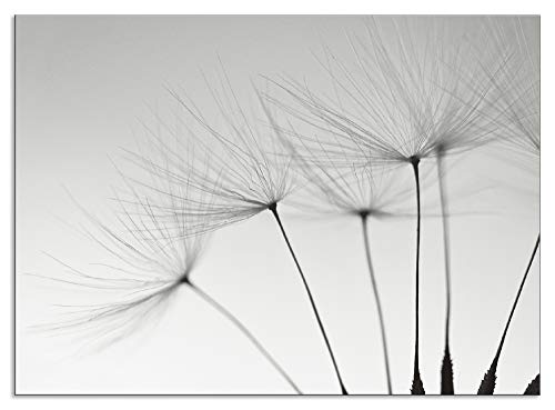 ARTland Spritzschutz Küchenrückwand aus Alu für Küche Herd Spüle 90x65 cm (BxH) mit Motiv Blume Pusteblume Landschaft Natur Zen Modern Hell Grau T5SQ von ARTLAND