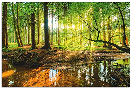 ARTland Wandbild Alu Verbundplatte für Innen & Outdoor Bild 120x80 cm Wald Natur Landschaft Bäume Bach Sonne Frühling T9IO von ARTLAND