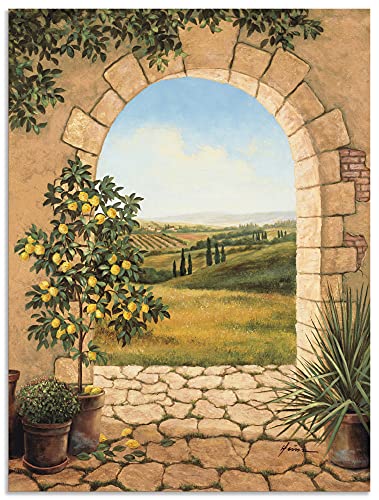 ARTland Wandbild Alu Verbundplatte für Innen & Outdoor Bild 30 x 40 cm Landschaften Fensterblick Malerei Creme A7CU Zitronenbaum vorm Torbogen von ARTLAND