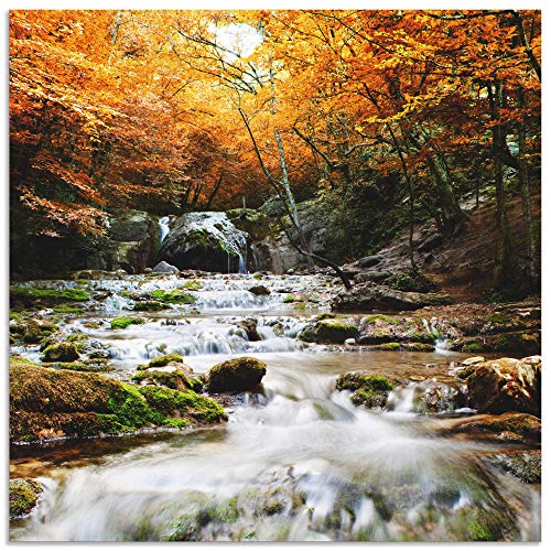 ARTland Wanddeko Wandbild Alu Verbundplatte für Innen & Outdoor Bild Herbst Landschaft Natur Wald Wasserfall Fluss T5TE ARTland Wanddeko Wandbild Alu Verbundplatte für Innen & Outdoor Bild Herbst Landschaft Natur Wald Wasserfall Fluss T5TE von ARTLAND