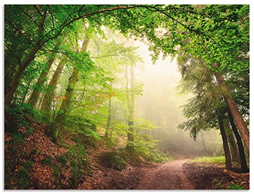 ARTland Wandbild Alu Verbundplatte für Innen & Outdoor Bild 40 x 30 cm Landschaften Wald Foto Grün B6UU Natürliche Torbögen durch Bäume von ARTLAND