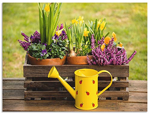 ARTland Wanddeko Wandbild Alu Verbundplatte für Innen & Outdoor Bild Garten Blumen Frühling Narzissen Stiefmütterchen Landhaus S8IP ARTland Wanddeko Wandbild Alu Verbundplatte für Innen & Outdoor Bild Garten Blumen Frühling Narzissen Stiefmütterchen Landhaus S8IP von ARTLAND