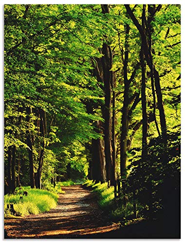ARTland Wandbild Alu Verbundplatte für Innen & Outdoor Bild 90x120 cm Wald Landschaft Natur Frühling Sonne Bäume Landhaus T1UC von ARTLAND