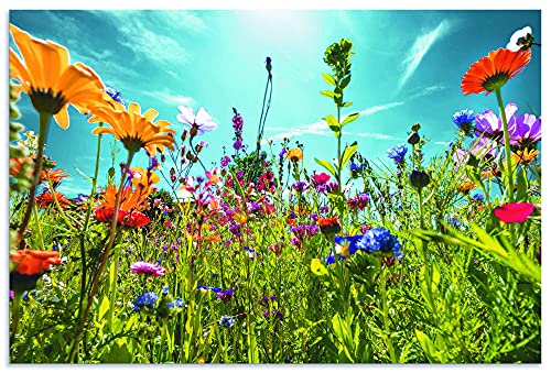 ARTland Wandbild Alu Verbundplatte für Innen & Outdoor Bild 90x60 cm Blumenbilder Blumenwiese Blüten Frühling Blumen Bunt U2KS von ARTLAND