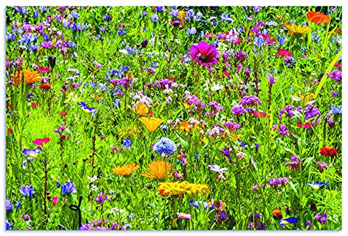 ARTland Wandbild Alu Verbundplatte für Innen & Outdoor Bild 90x60 cm Blumenbilder Blumenwiese Blüten Frühling Blumen Bunt U2KT von ARTLAND