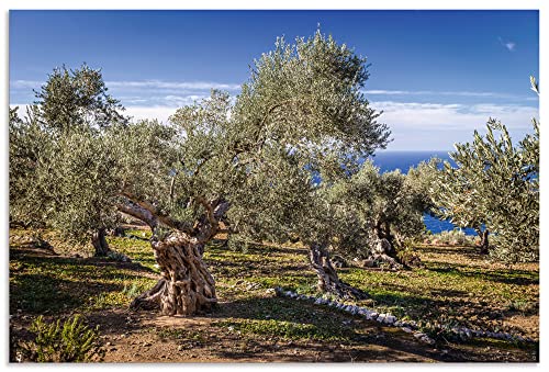 ARTland Wandbild Alu Verbundplatte für Innen & Outdoor Bild 90x60 cm Pflanzen Bäume Hain Oliven Meer Mediterran Mallorca Spanien U3SJ von ARTLAND
