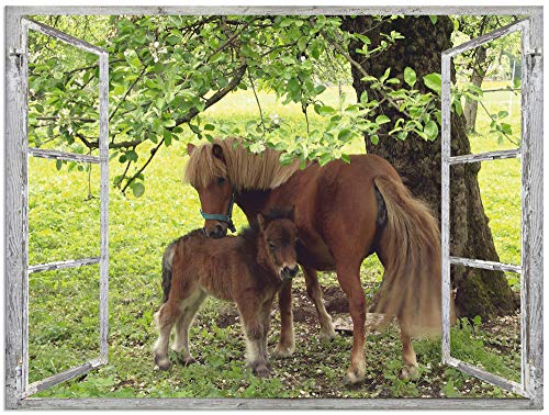 ARTland Wandbild Alu Verbundplatte für Innen & Outdoor Bild 40x30 cm Fensterblick Fenster Pferd Pony Natur Wiese Landhaus Baum Ausblick S8HN von ARTLAND