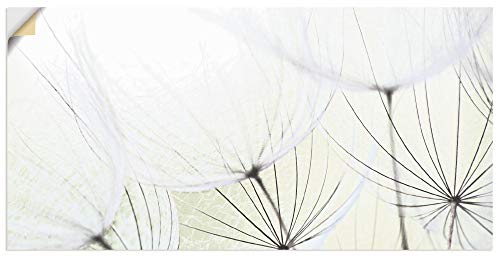 ARTland Wandbild selbstklebend Vinylfolie 100x50 cm Wanddeko Wandtattoo Botanik Blumen Blüten Pusteblume Frühling Landhaus S9MV von ARTLAND