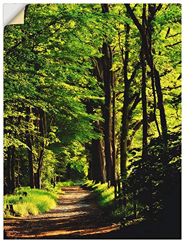 ARTland Wandbild selbstklebend Vinylfolie 30x40 cm Wanddeko Wandtattoo Wald Natur Landschaft Bäume Sonne Frühling Weg T1UC von ARTLAND
