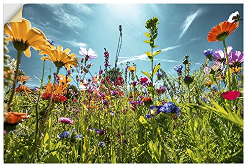 ARTland Wanddeko Wandtattoo selbstklebende Vinylfolie 90x60 cm Blumenbilder Blumenwiese Blüten Frühling Blumen Bunt U2KS ARTland Wanddeko Wandtattoo selbstklebende Vinylfolie 90x60 cm Blumenbilder Blumenwiese Blüten Frühling Blumen Bunt U2KS von ARTLAND