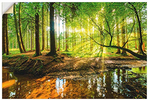 ARTland Wandbild selbstklebend Vinylfolie 90x60 cm Wald Natur Landschaft Bäume Bach Sonne Frühling T9IO von ARTLAND