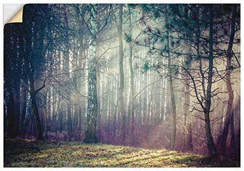 ARTland Wandbild selbstklebend Wandtattoo Vinylfolie 100x70 cm Querformat Landschaft Wald Natur Bäume Sonnenstrahlen Herbst Sonne U1TE von ARTLAND