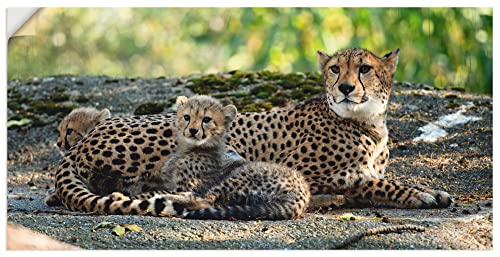 ARTland Wandbild selbstklebende Vinylfolie 150x75 cm Wanddeko Wandtattoo Gepard Tiere Afrika Safari Savanne Natur Landschaft S9HY von ARTLAND