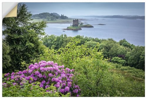 ARTland Wandbild selbstklebende Vinylfolie 60x40 cm Wandtattoo Landschaften Pflanzen Blumen Rhododendron Burg Castle Stalker Schottland U5CO von ARTLAND