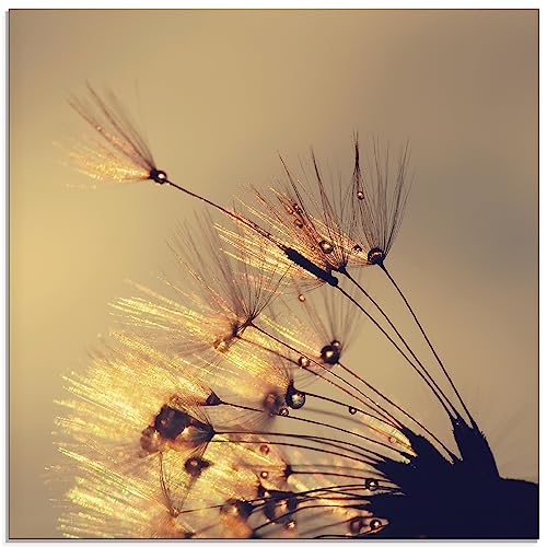 ARTland Wanddeko Glasbilder Wandbild Glas Bild einteilig 50 x 50 cm Quadratisch Innere Ruhe Wellness Pflanzen Blumen Pusteblume Regen Tau Tropfen Sonnenaufgang S8XF von ARTLAND