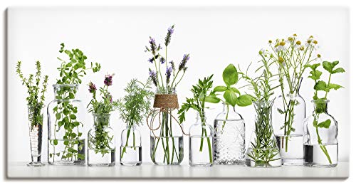ARTLAND Wanddeko Leinwand Bilder Wandbild Querformat Modern Küchenbilder Pflanzen Kräuter Blumen Gewürze Grün H9KE von ARTLAND