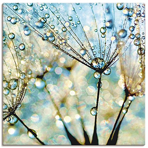 ARTLAND Wanddeko Leinwand Bilder Wandbild 50 x 50 cm Wellness Innere Ruhe Pflanzen Blumen Pusteblume Regen Tau Wasser Diamanten S9MF von ARTLAND