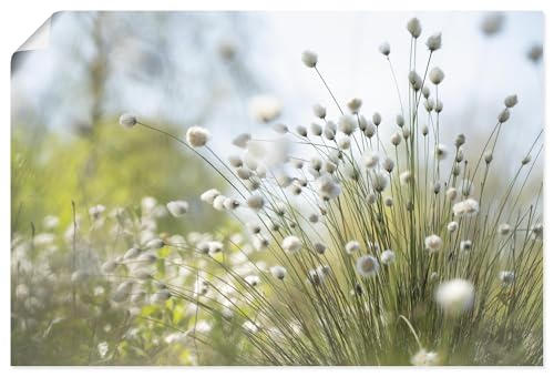 ARTLAND Wanddeko Poster & Kunstdrucke Wandposter 120x80 cm Querformat Natur Idyll Pflanzen Gräser Pampasgras Wollgras Blüten Blumen Moor U4YL ARTLAND Wanddeko Poster & Kunstdrucke Wandposter 120x80 cm Querformat Natur Idyll Pflanzen Gräser Pampasgras Wollgras Blüten Blumen Moor U4YL von ARTLAND