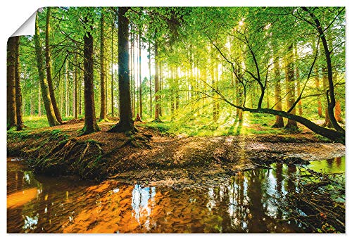 ARTLAND Wanddeko Poster & Kunstdrucke Wandposter 120x80 cm Wald Natur Landschaft Bäume Bach Sonne Frühling T9IO von ARTLAND