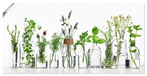 ARTLAND Wanddeko Poster & Kunstdrucke Wandposter 150x75 cm Bild ohne Rahmen Querformat Modern Küchenbilder Pflanzen Kräuter Blumen Gewürze H9KE von ARTLAND