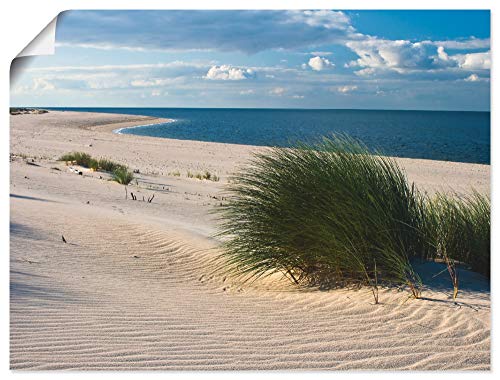 ARTLAND Wanddeko Poster & Kunstdrucke Wandposter Strand Meer Düne Küste Gräser Nordsee Maritim T5TV von ARTLAND