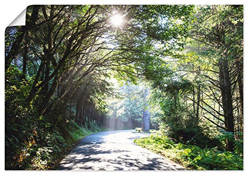 ARTLAND Wanddeko Poster & Kunstdrucke Wandposter Bild ohne Rahmen Querformat Landschaft Wald Natur Bäume Frühling Sonne U1TD von ARTLAND