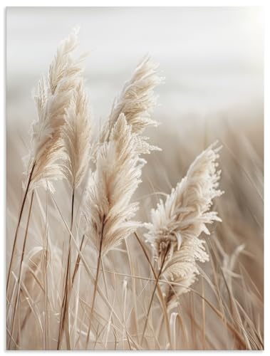 ARTland Wanddeko Wandbild Alu Verbundplatte für Innen & Outdoor Bild Pflanzen natural elements Gräser Pampasgras Schilf Boho Deko U5GN von ARTLAND
