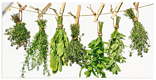 ARTland Wanddeko Wandtattoo selbstklebende Vinylfolie 60x30 cm Kräuter Gewürze Pflanzen Lebensmittel Mediterran T3WN ARTland Wanddeko Wandtattoo selbstklebende Vinylfolie 60x30 cm Kräuter Gewürze Pflanzen Lebensmittel Mediterran T3WN von ARTLAND