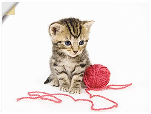 ARTland Wanddeko Wandtattoo selbstklebende Vinylfolie 80x60 cm Katze Tiere Babykatze Haustier Süß Mädchen T5XV von ARTLAND