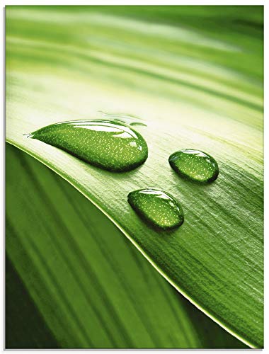 Artland Glasbilder Wandbild Glas Bild 80 x 60 cm Botanik Blätter Foto Grün G2VS Nahaufnahme eines grünen Pflanzenblattes von ARTLAND