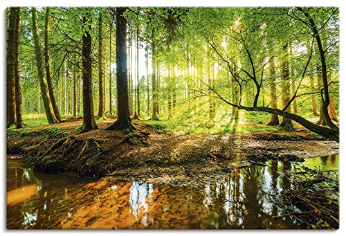 Artland Leinwandbild Wandbild Bild auf Leinwand 120x80 cm Wanddeko Wald Natur Landschaft Bach Sonne Baum Sonnenstrahlen T9IO von ARTLAND