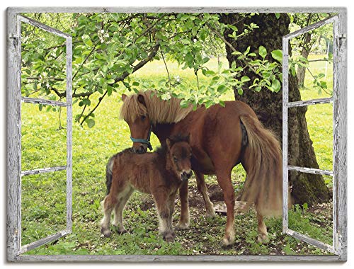 ARTland Leinwandbilder Wandbild Bild auf Leinwand 80x60 cm Wanddeko Fensterblick Fenster Pferd Pony Natur Wiese Landhaus Baum Ausblick S8HN von ARTLAND