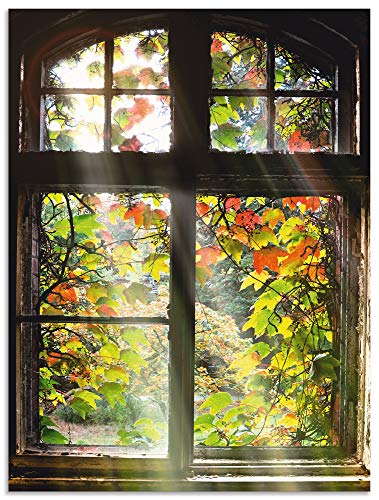 ARTland Wandbild Alu Verbundplatte für Innen & Outdoor Bild 45x60 cm Fensterblick Fenster Herbst Natur Landschaft Altbau Sonne Baum T5XH von ARTLAND