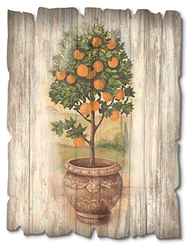 Artland Wandbild aus Holz Shabby Chic Holzbild rechteckig 30x40 cm Blumentopf Pflanzen Orangenbaum Toskana Italien Rustikal Vintage U0PV von ARTLAND