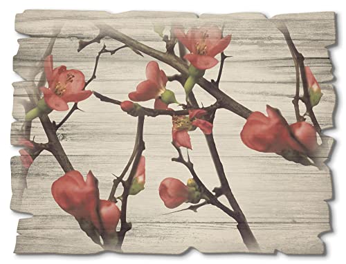 ARTland Wandbild aus Holz Shabby Chic Holzbild rechteckig 40x30 cm Querformat Blumen Blüten Kirschblüte Botanik Zweige Baum Landhausstil L1KL von ARTLAND