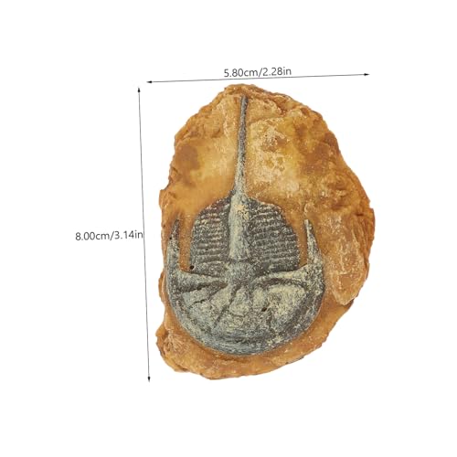 ARTSEWPLY 2 Stück Simulations fossil Dekoration Reptilien Terrarium Ornament für Gecko Box Kratzfestes Harz Vielseitig als Terrarium deko für Echsen Spinnen Hamster Geeignet Farblich ARTSEWPLY 2 Stück Simulations fossil Dekoration Reptilien Terrarium Ornament für Gecko Box Kratzfestes Harz Vielseitig als Terrarium deko für Echsen Spinnen Hamster Geeignet Farblich von ARTSEWPLY