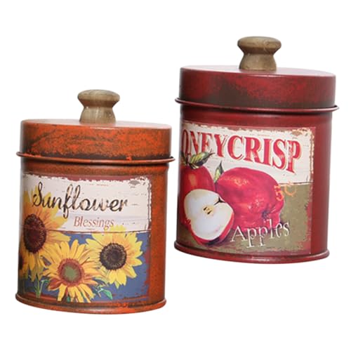 ARTSEWPLY 2 Stück Teiliges Vintage Eiseneimer mit Deckel Kreativer Retro Blumentopf Stapelbarer Kleiner Übertopf für Balkon Terrasse Indoor Pflanzgefäß Dekorativer Garten und Wohnaccessoire ARTSEWPLY 2 Stück Teiliges Vintage Eiseneimer mit Deckel Kreativer Retro Blumentopf Stapelbarer Kleiner Übertopf für Balkon Terrasse Indoor Pflanzgefäß Dekorativer Garten und Wohnaccessoire von ARTSEWPLY